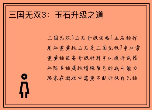 三国无双3：玉石升级之道