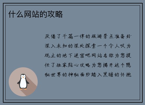 什么网站的攻略